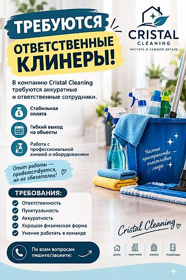 Үй персоналы жана тазалоо: Талап кылынат Тазалоочу, Үй, Иш тартиби: Ийкемдүү график — 1