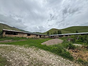 Иссык-Куль 2026: 🏠 Продается дом с участком • Баз для дом.животных (овец коров и — 11