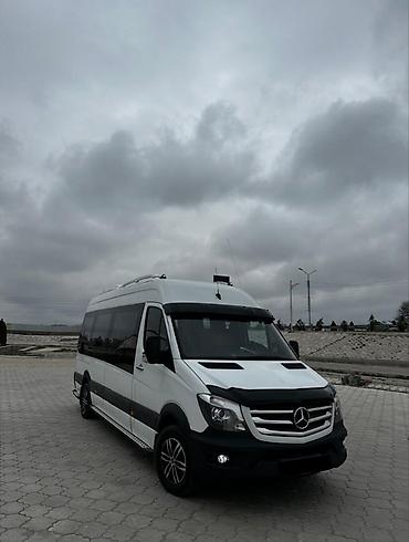 bus: Пункт назначения: Все направления, Количество мест: 20, Лицензия №: 08B003064 — 1