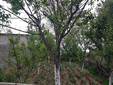 Продажа домов: Дом, 52 м², 5 комнат, Собственник, Старый ремонт — 11