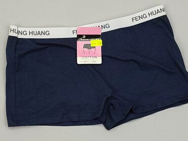 Panties: Panties, L (EU 40), condition - Ideal