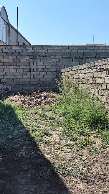 Torpaq sahələrinin satışı: 3 sot, Tikinti, Bələdiyyə — 6