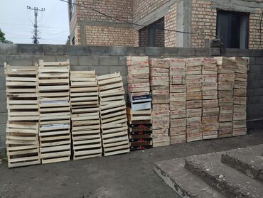 купить деревянные ящики бу: Продаю деревянные ящики