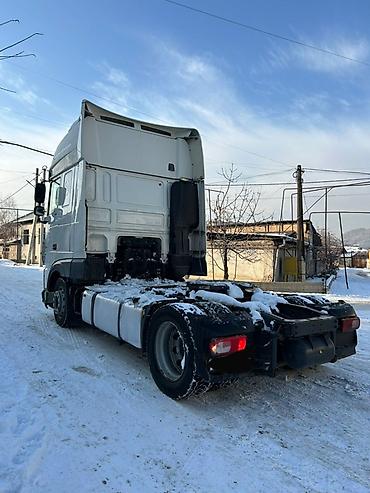 Тягачи: Тягач, DAF, 2019 г., Без прицепа — 7
