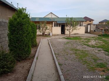 кут дарак в Кыргызстан | СЕМЕНА И УЛИЧНЫЕ РАСТЕНИЯ: 4 м², 3 комнаты