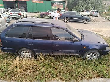 тойота корола 1997: Toyota Corolla: 1997 г., Механика, Дизель, Универсал — 2