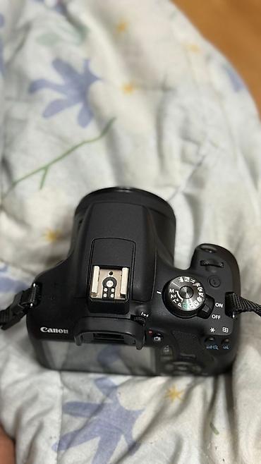 apple studio: Canon EOS 2000D + объективы и аксессуары Комплект: - Зеркальная — 5