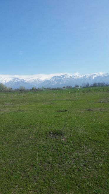 torpaq lenkeran: 30 sot, Kənd təsərrüfatı, Mülkiyyətçi, Kupça (Çıxarış)