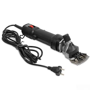 Животные: Yun qırxan (qoyunqırxan) elektrikliYunqırxan (qoyunqırxan) elektrikli — 1
