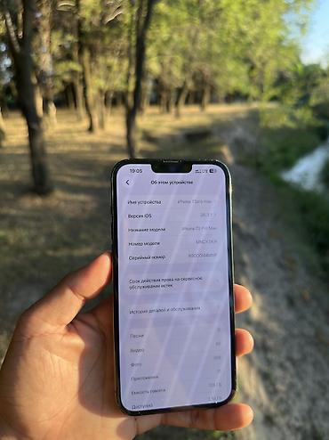 core 2: IPhone 13 Pro Max, Б/у, 128 ГБ, Alpine Green, Чехол, 74 % — 7