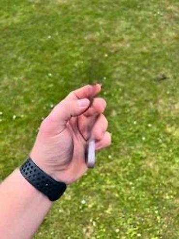 Apple iPhone: Apple iPhone – kompaktan model sa ravnim ivicama i dvostrukom zadnjom — 8