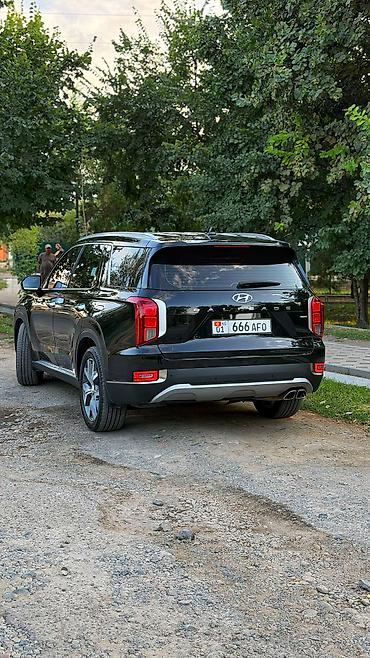 виниловая пленка на авто: Hyundai Palisade: 2020 г., 2.2 л, Автомат, Дизель, Внедорожник — 4