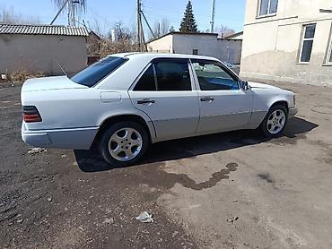 универсал мастер с лисным авто: Mercedes-Benz W124: 1990 г., 2 л, Механика, Седан — 3