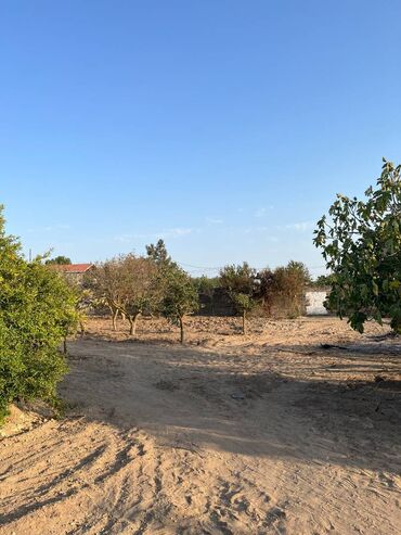 бузовна: 12 sot, Kənd təsərrüfatı, Kupça (Çıxarış)