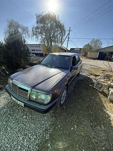 оптика 124: Mercedes-Benz W124: 1991 г., 2.3 л, Механика, Бензин, Седан — 1