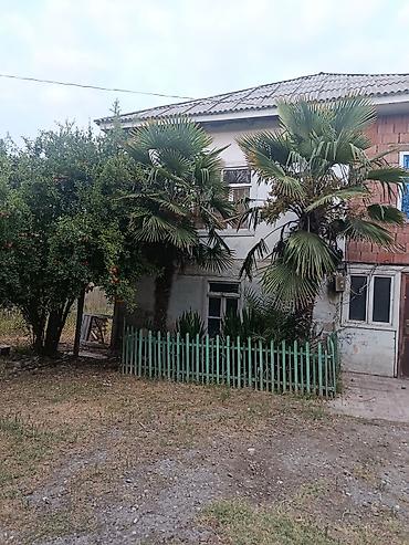 1 комнатная квартира студия: Satılır: həyətli iki mərtəbəli yaşayış evi - Ümumi təsvir: İki — 1