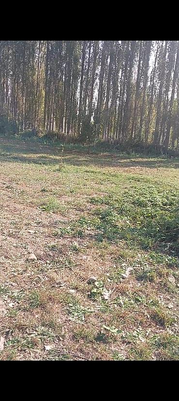 Продажа участков: 30 соток — 4