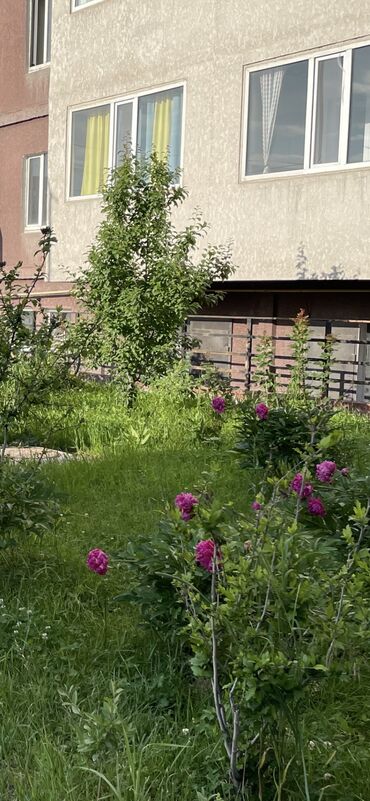 снять квартиру в заре: 1 бөлмө, 45 кв. м, 106-серия жакшыртылган, 2 кабат, Косметикалык ремонт