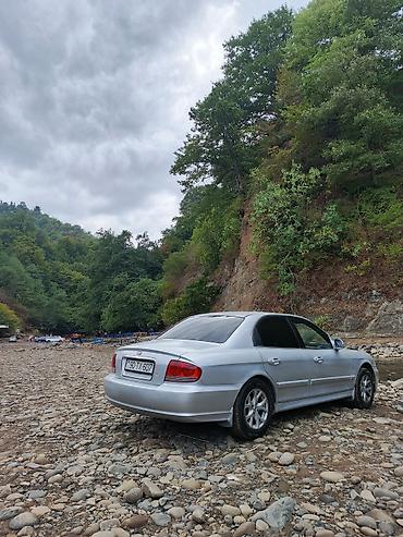 Hyundai: Hyundai Sonata: 2 l | 2003 il Sedan — 13