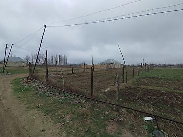 sabuncu rayon: 5 sot, Tikinti, Mülkiyyətçi, Kupça (Çıxarış), Texniki pasport — 3