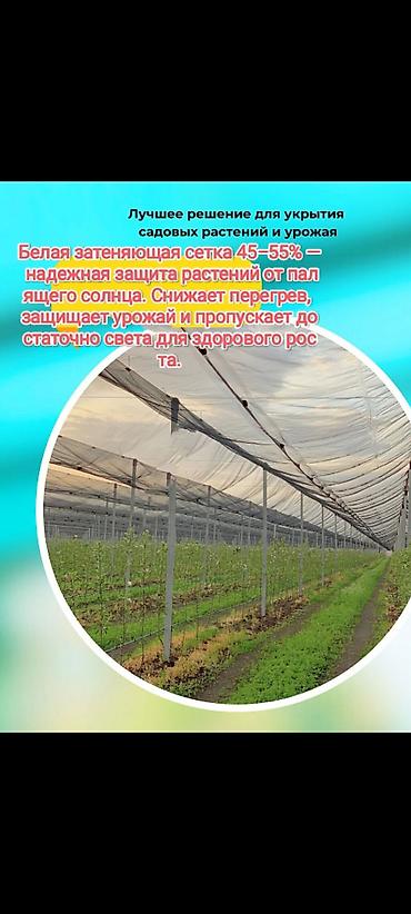 Затеняющие сетки: Затеняющие сетки — 12