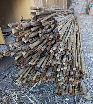 Бамбук: Натуральные тростниковые/бамбуковые палки (камышовые стебли) в — 2