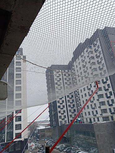 Другие услуги: Установим, переустановим систему ЗУС. Любой сложности. Быстро и — 8