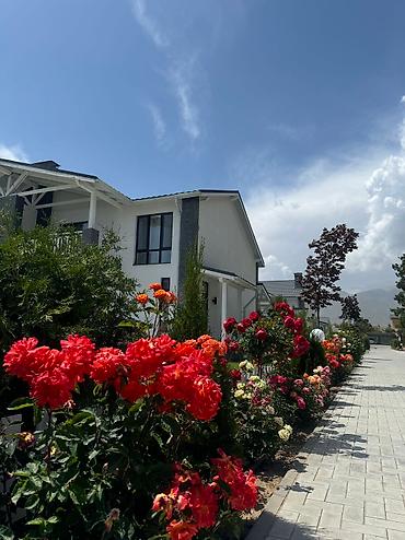 Отдых на Иссык-Куле: Коттедж, Chaika Resort, Сары-Ой, 10 мест — 3