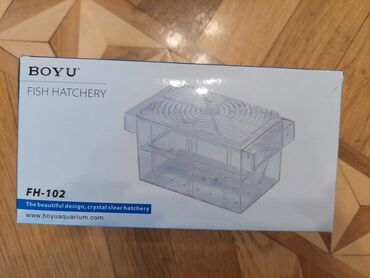 Akvariumlar: Dördbucaq akvarium, Balıqlarla birlikdə, 40 l, Ünvandan götürmə — 14