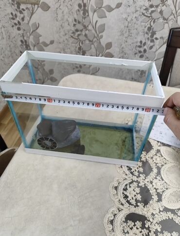 фильтр для аквариума: Şəffaf şüşədən hazırlanmış, ağ haşiyəli kiçik düzbucaqlı akvarium