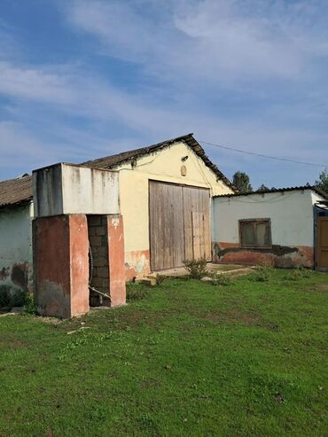 Torpaq sahələrinin satışı: Kənd təsərrüfatı -da lalafo.az — 8 Torpaq sahələrinin satışı: Kənd təsərrüfatı — 8