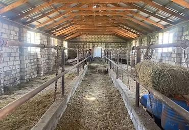buzovnada torpaq: 1500 sot, Kənd təsərrüfatı, Mülkiyyətçi, Kupça (Çıxarış) — 7