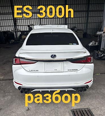 Автозапчасти РАЗБОР Lexus ES 2022 ES 300h f-sport по всем вопросам