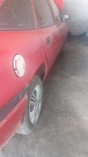 Opel: Opel Vectra: 1993 г., 1.6 л, Механика, Бензин, Хэтчбэк — 3