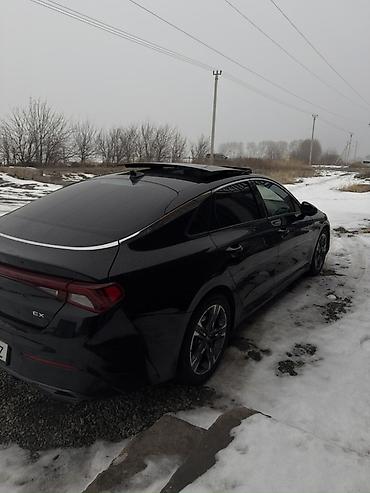 Kia: Kia K5: 2022 г., 1.6 л, Автомат, Бензин, Седан — 10