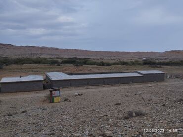 Сельхоз предприятия: Продаётся кашар с полностью огороженным участком площадью 4,5 га. На — 13