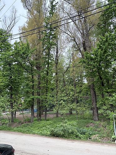 Продажа квартир: 2 комнаты, 50 м², Элитка, 1 этаж — 2