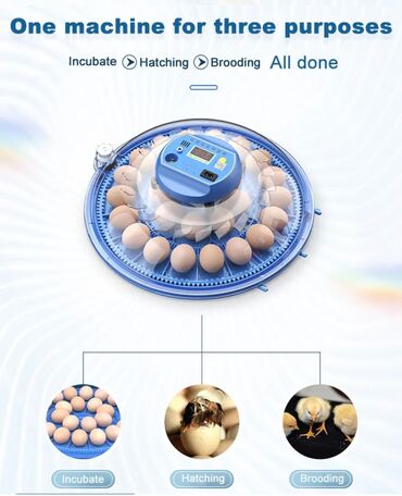 Oprema za kućne ljubimce: INKUBATOR Automatski nove generacije za 52 jaja 12v/220v — 12