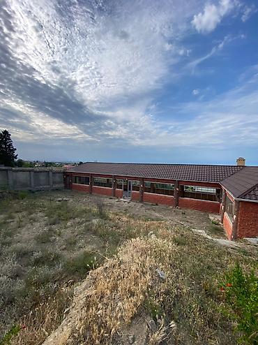 buzovnada torpaq: 20 sot, Tikinti, Mülkiyyətçi, Kupça (Çıxarış) — 4