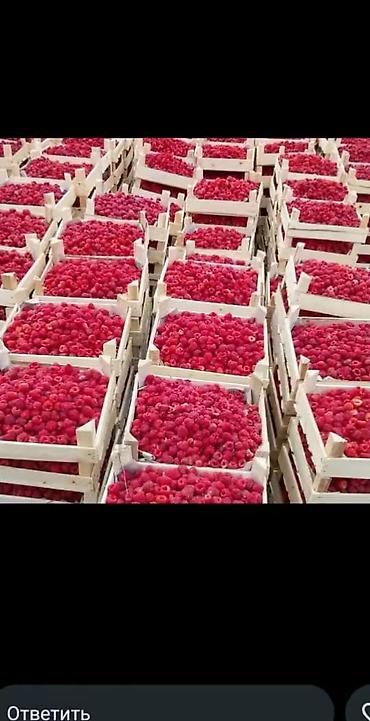 Клубника: Клубника — 5