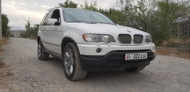 бмв х5: BMW X5: 2003 г., 4.4 л, Автомат, Бензин, Внедорожник