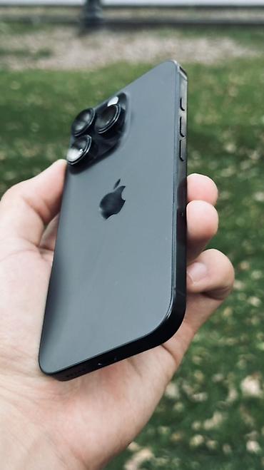 aifon 15 pro max: IPhone 16 Pro, 256 ГБ, цвет Black Titanium Характеристики и детали с — 6