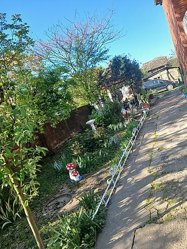 Kupujem kuću: Porodična kuća u Surduku sa uređenim dvorištem - Dvospratna zidana — 5