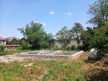 mehdiabad torpaq satisi: Tikinti, Mülkiyyətçi, Kupça (Çıxarış)