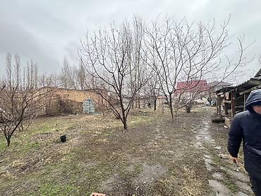 Продажа коттеджей и домов: Участок 8 соток Дом 200 м2 ПСО Имеется сад и времянка полностью at lalafo.kg — 26 Продажа коттеджей и домов: Участок 8 соток Дом 200 м2 ПСО Имеется сад и времянка полностью — 26