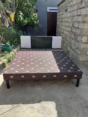 Kravat 
Taza