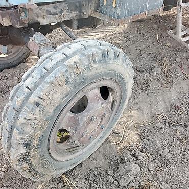 Капуста: Капуста — 9