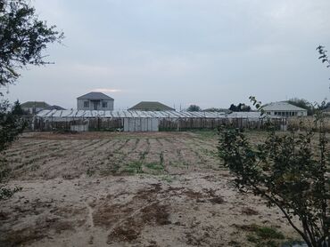 Torpaq sahələrinin satışı: Satılır: 25 sot torpaq sahəsi - Hündür daş hasarla tam əhatələnmiş -da lalafo.az — 10 Torpaq sahələrinin satışı: Satılır: 25 sot torpaq sahəsi - Hündür daş hasarla tam əhatələnmiş — 10