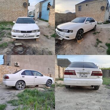 nissan sunny oluxanasi: Nissan Sunny: 1.3 l | 1999 il Sedan