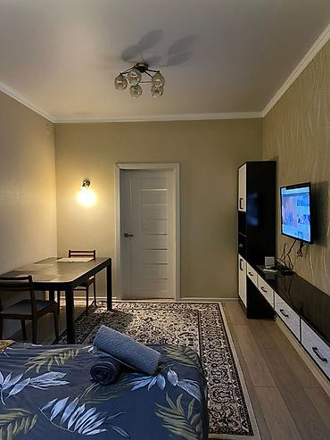 Посуточная аренда квартир: 1 комната, Душевая кабина, Постельное белье, Кондиционер — 10